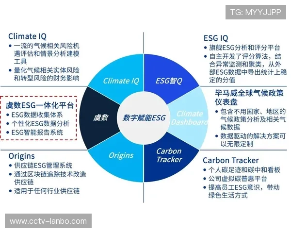 体育数字资产定制化服务正形成差异化竞争力